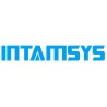 Intamsys